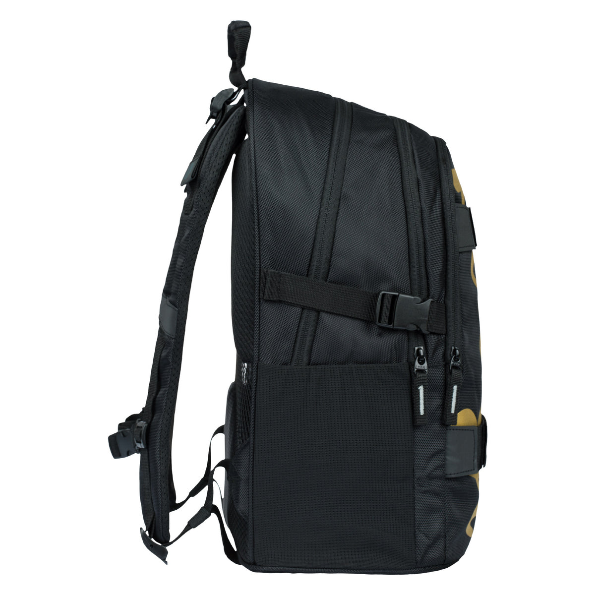 Set scolastico Skate Gold