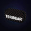 Set scolastico Skate TERIBEAR