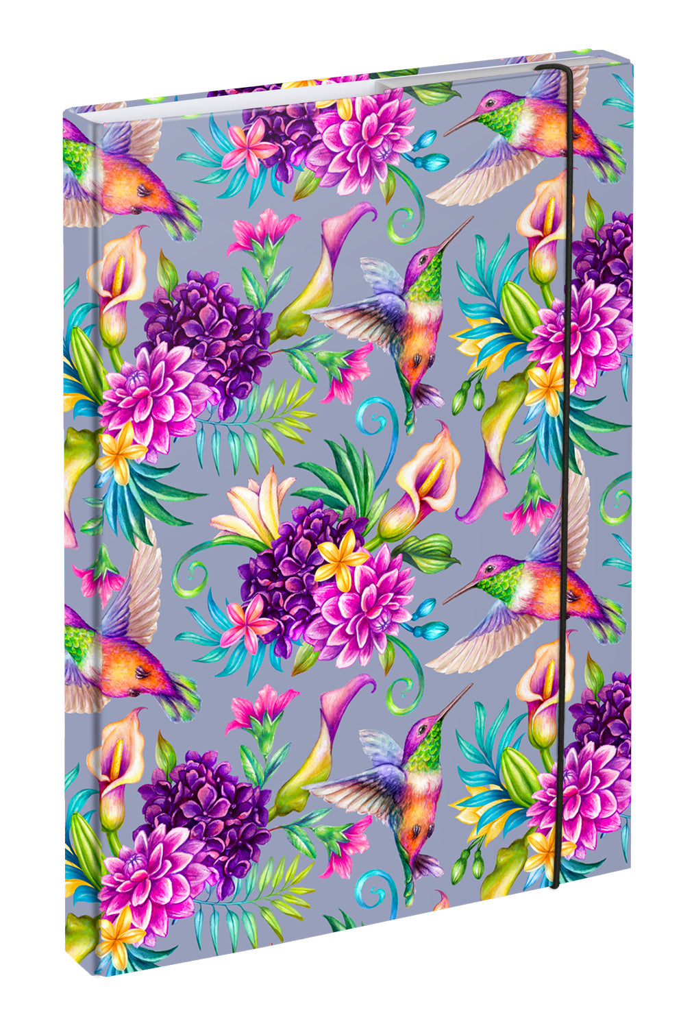 Cartellina scolastica A4 Colibrì