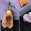 Cartella scolastica Zippy Capibara