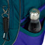 Set scolastico Core Logo blue