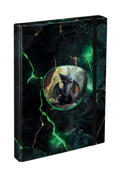 Cartellina scolastica A4 Dragons