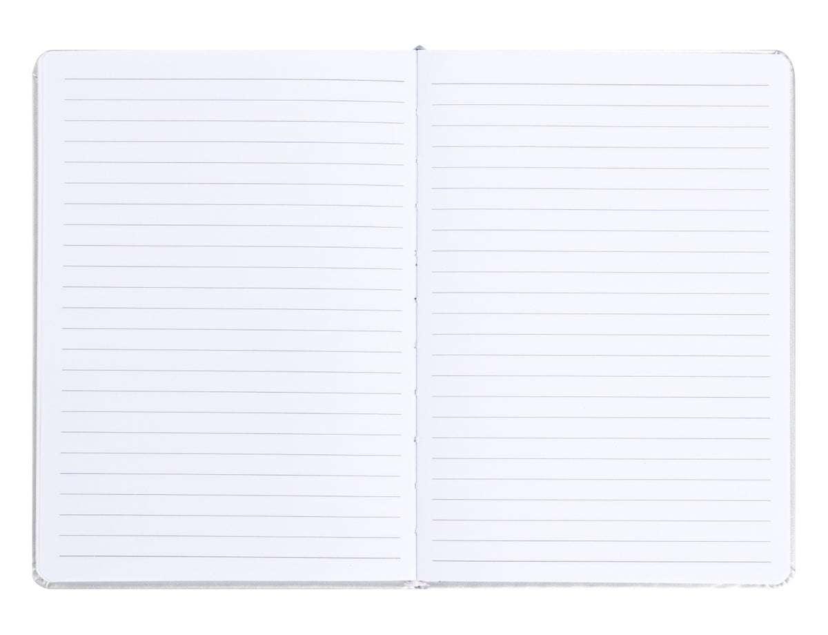 Quaderno NASA Silver