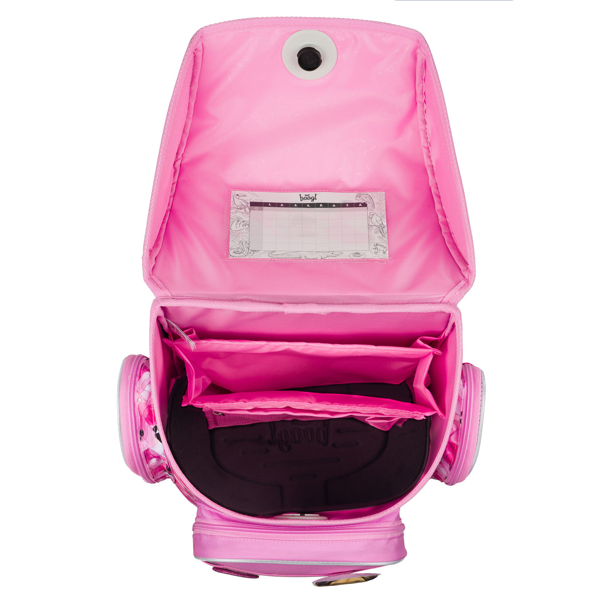 Set scolastico Ergo Zampe III