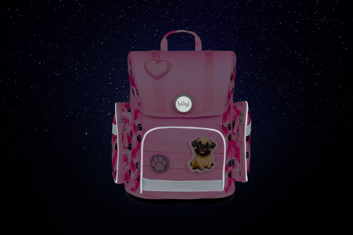 Set scolastico Ergo Zampe III