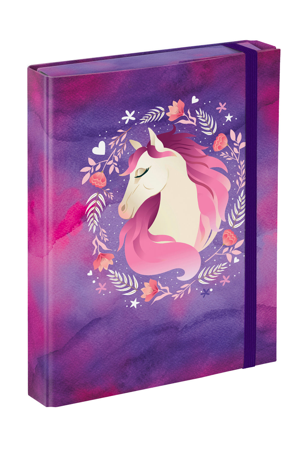 Set scolastico Ergo Horse V