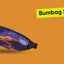 Marsupio Snap Bluelight